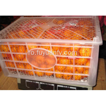 Juicy fructe dulci gust mandarin copil